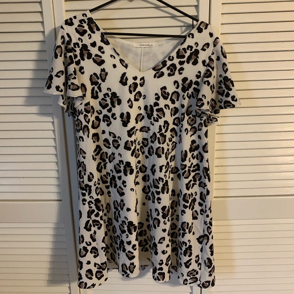 Leopard Print Dress